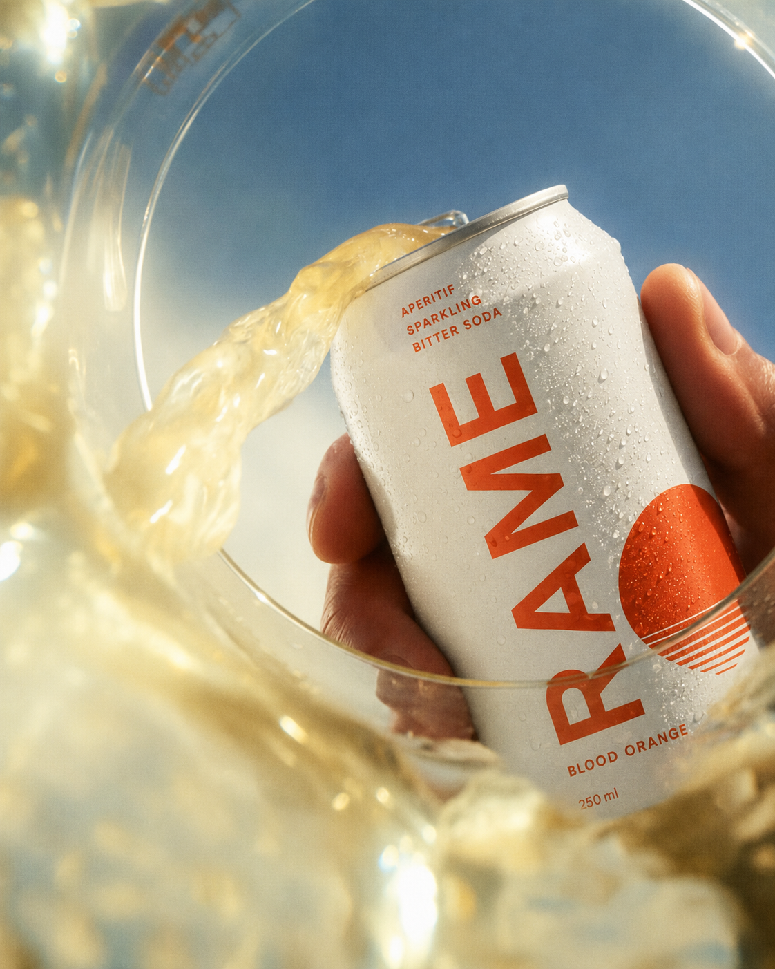 A point-of-view image from the RAME visual system.